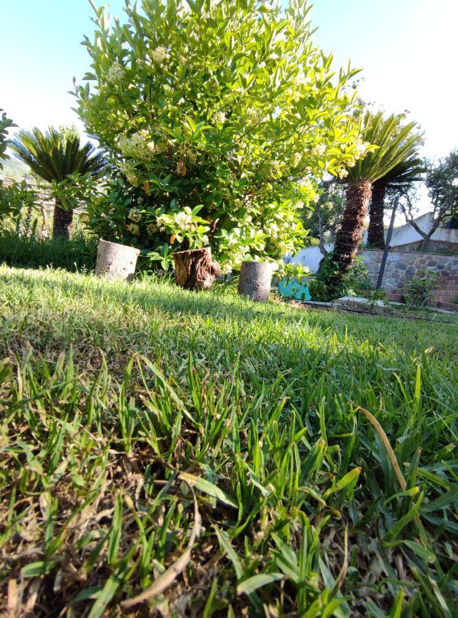 צ'פאלו Villa Martino Apartments מראה חיצוני תמונה
